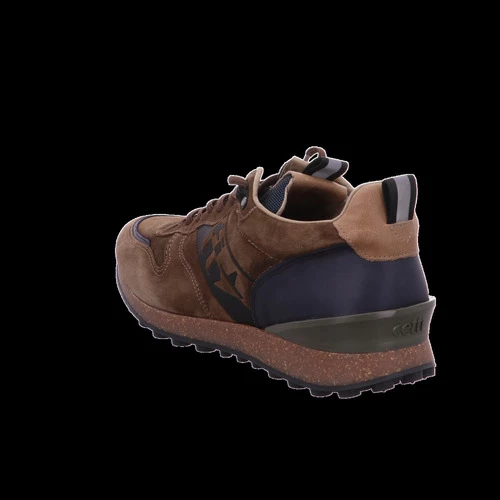 Cetti for Derbies & Richelieu Couleur Marron – Image 3