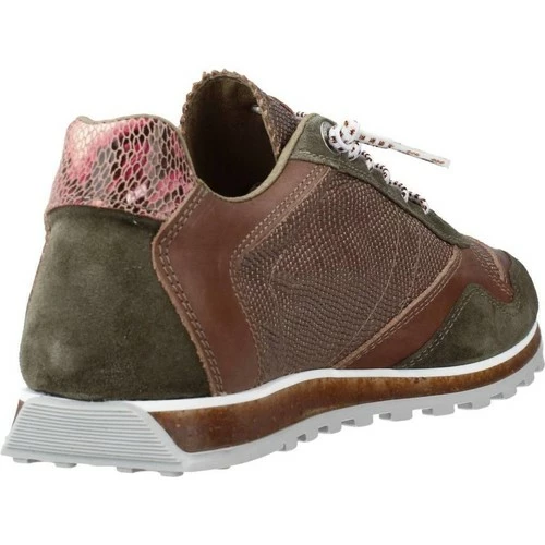 Cetti C848SRA V21 for Baskets mode Couleur Marron – Image 3