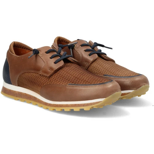 Cetti for Baskets mode Couleur Marron – Image 2