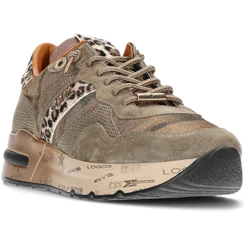 Cetti BASKETS GALASSIA C1274 for Baskets mode Couleur Marron