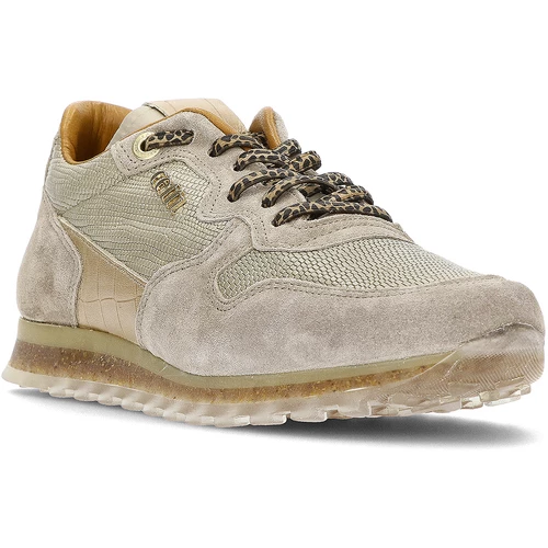 Cetti BASKETS TEJUS C-1244 for Baskets mode Couleur Rose