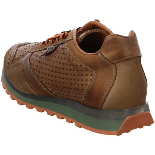 Cetti for Baskets mode Couleur Marron – Image 3