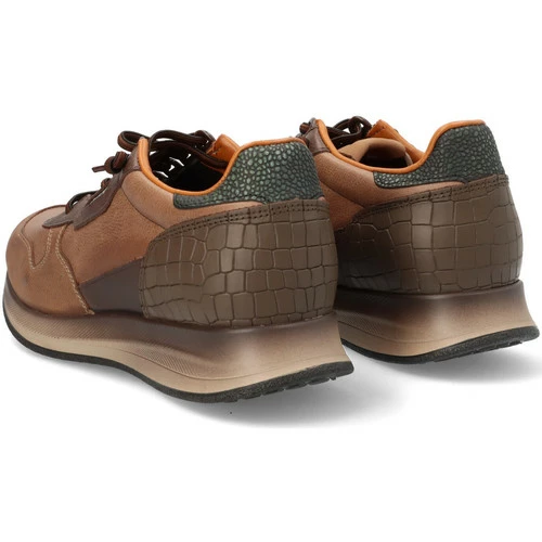 Cetti for Baskets mode Couleur Marron – Image 2